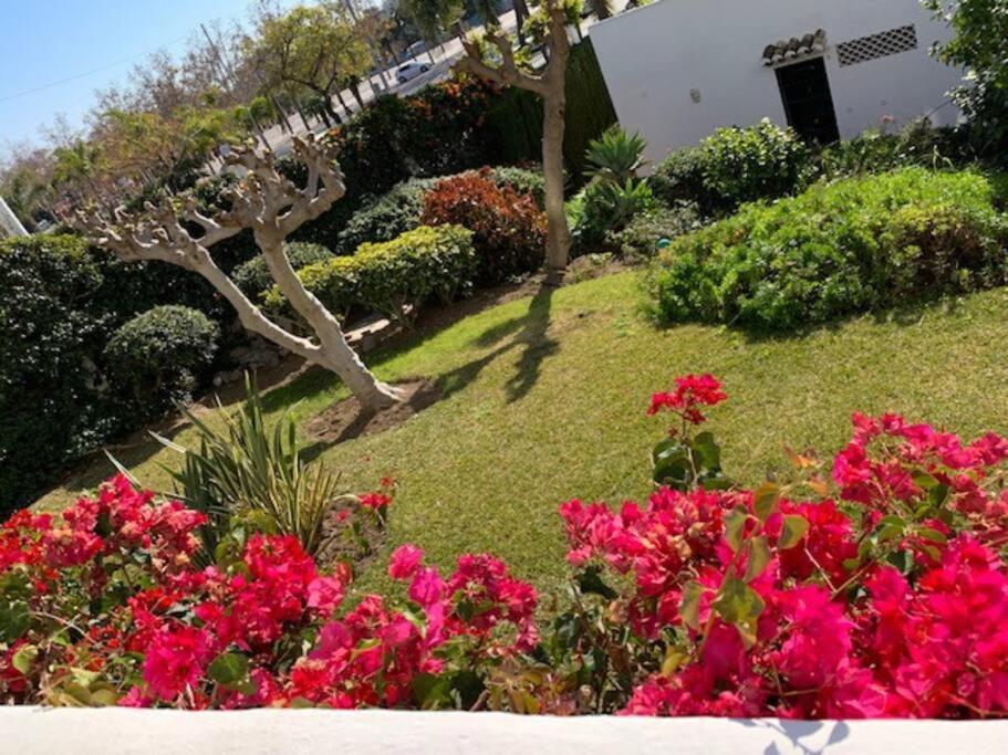 Pueblo Del Parque, Parc La Paloma Appartement *